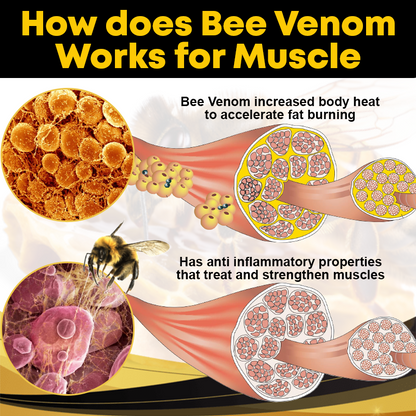 Bee Venom ManSculpting Essential Oil
