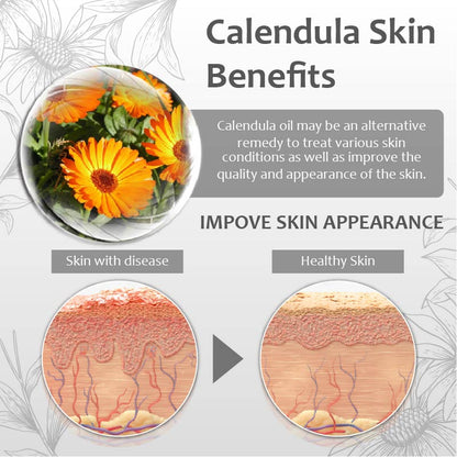 Calendula SkinHealing Herbal Salve Y